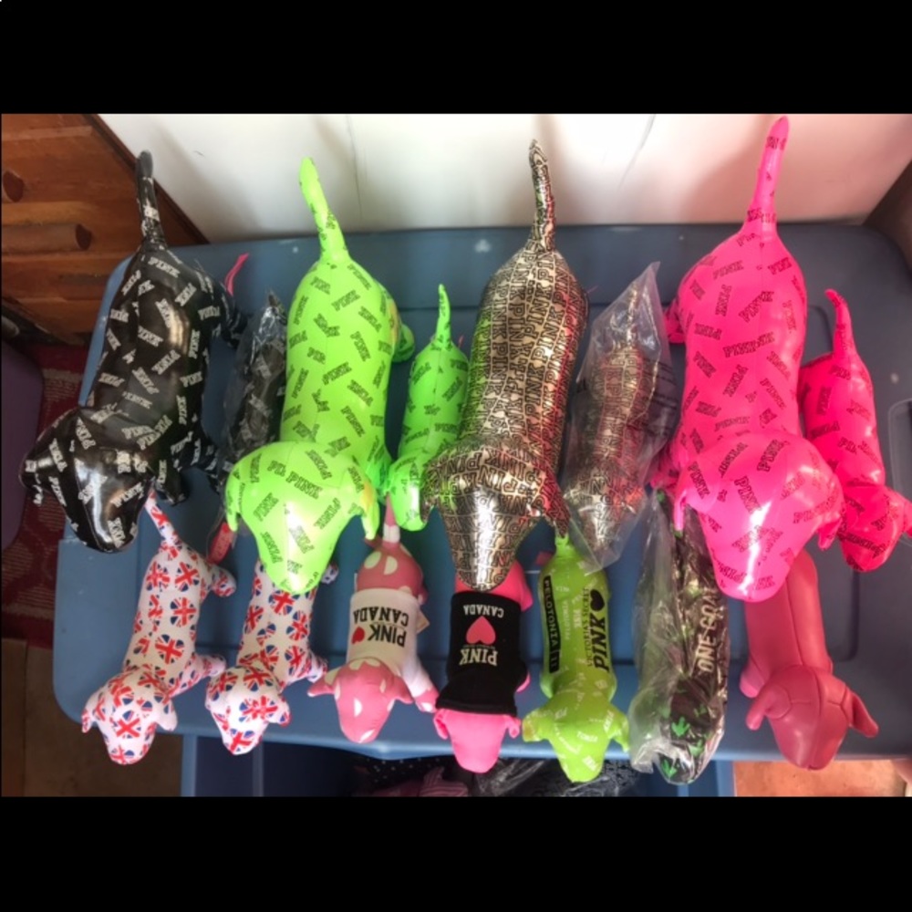 Vs dogs